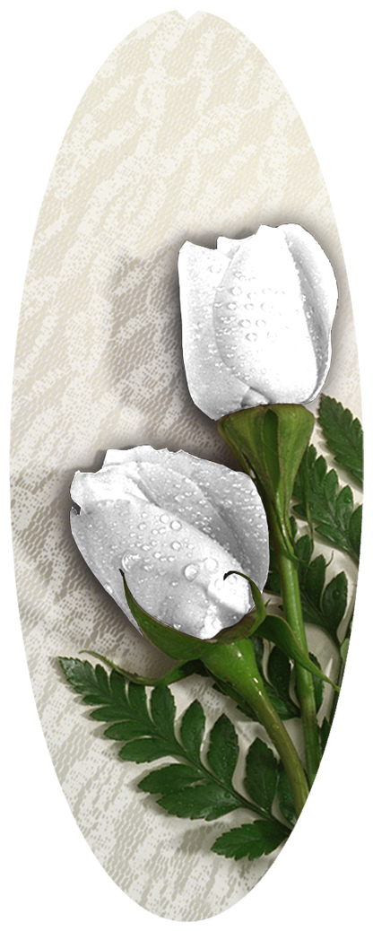 DNSA18-060 2 Roses White
